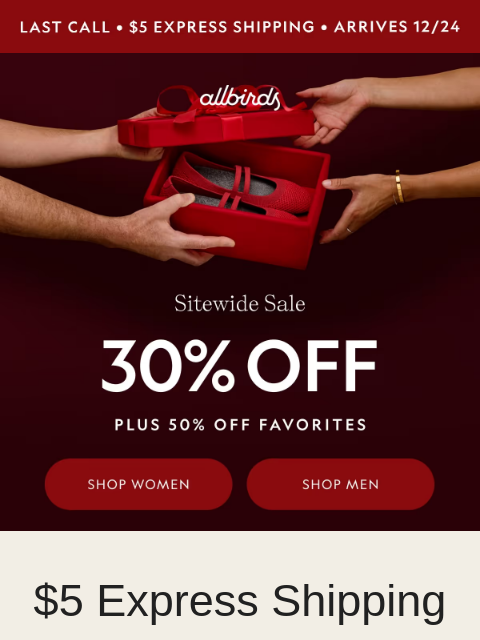 allbirds newsletter: Gifts Under The Tree For $5 🎄