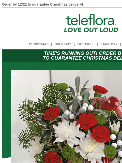 Order by 12/22 to guarantee Christmas delivery! View in browser ‌ teleflora CHRISTMAS | BIRTHDAY | GET WELL | SAME DAY | DEAL OF THE DAY TIME'S RUNNING OUT! ORDER BY 12/22 TO GUARANTEE CHRISTMAS