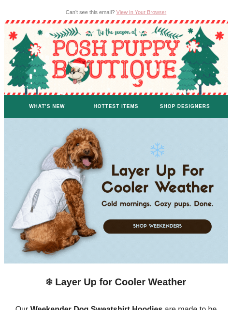 poshpuppyboutique newsletter: ❄️ Built for Chilly Days & Layered Walks
