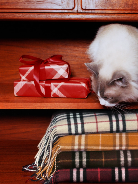 burberry newsletter: Last chance to shop gifts online