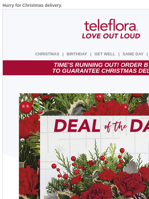 Hurry for Christmas delivery. View in browser ‌ teleflora CHRISTMAS | BIRTHDAY | GET WELL | SAME DAY | DEAL OF THE DAY TIME'S RUNNING OUT! ORDER BY 12/22 TO GUARANTEE CHRISTMAS DELIVERY! TIME'S