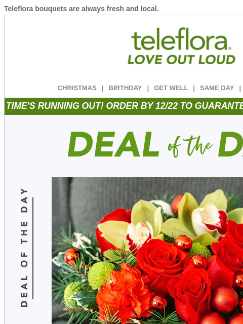 teleflora newsletter: Hurry! Seize Last-Minute Christmas Deals 🎁
