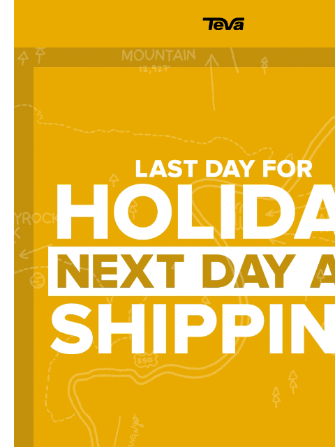 teva newsletter: Want it by Christmas? Order today. ✈️🎁