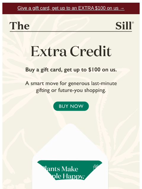 thesill newsletter: 💰 Get up to $100 on us!