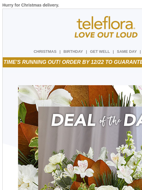 teleflora newsletter: Last Call for Christmas Delivery ❤️💚