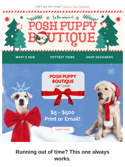 poshpuppyboutique newsletter: Forgot a Gift? We’ve Got You 🎁