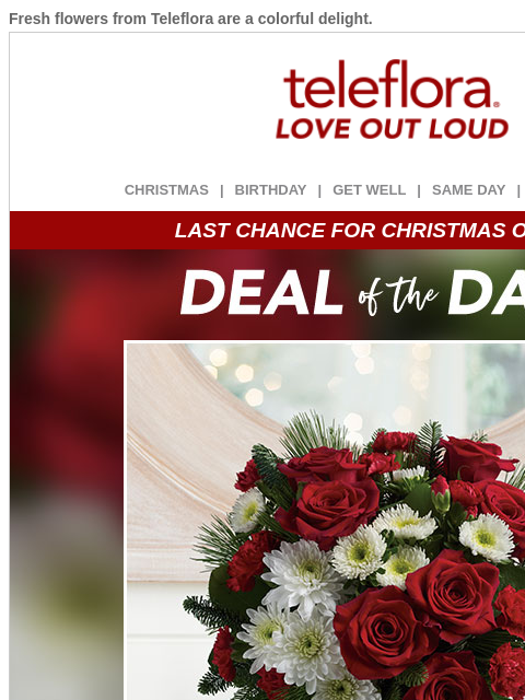 teleflora newsletter: Last Chance for Christmas Orders! 🎁