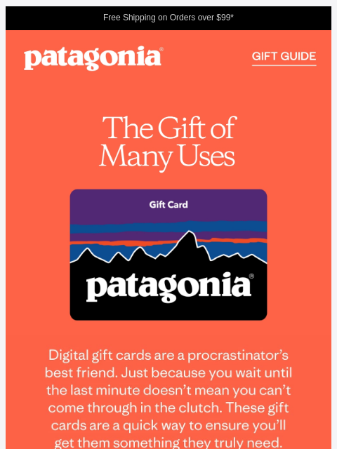 patagonia newsletter: Gift cards to make giving easy