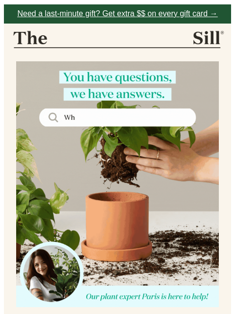 thesill newsletter: 📣 Half Off Virtual Plant Appointments!