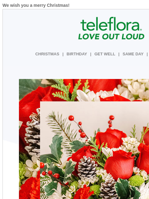 teleflora newsletter: 🔔Merry Christmas To All🔔