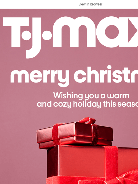 tjmaxx newsletter: Merry Christmas 🎁