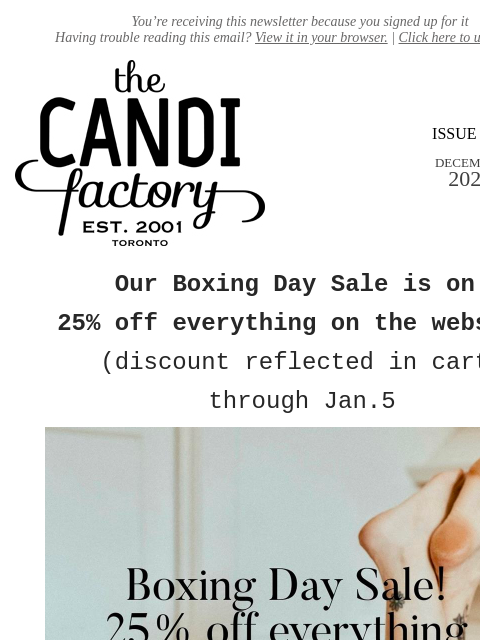 createsend7 newsletter: Boxing Day Sale…25% off everything!
