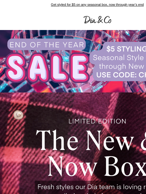 dia newsletter: Brand New Year, Brand New Arrivals—Styled for $5