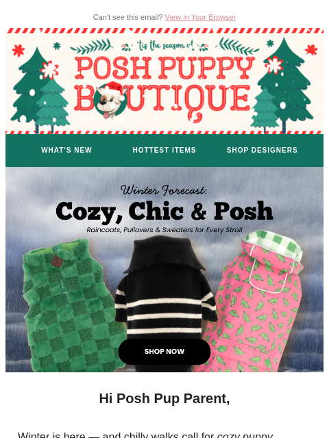 poshpuppyboutique newsletter: Warm Up Winter with Cozy Puppy Sweaters 🐾