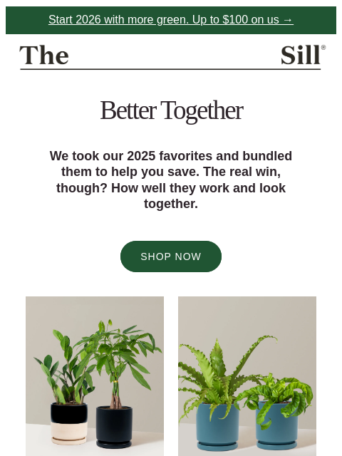 thesill newsletter: Our 2025 favorites — bundled 🌟🏆